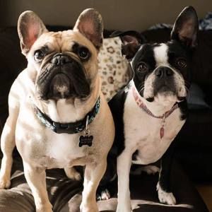 Meet your Posher, Aimée rich